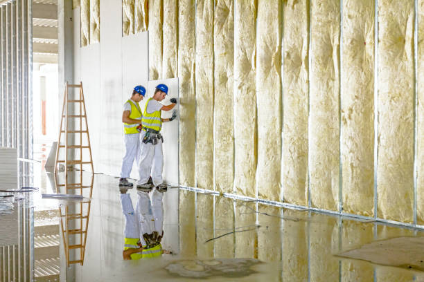 Professional Insulation Contractor in ID